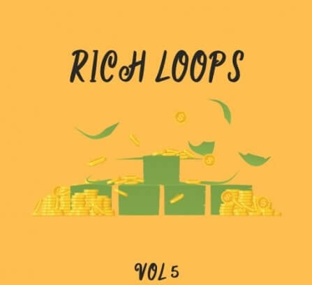 DiyMusicBiz Rich Loop Vol.5 WAV